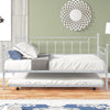 Twin Size Metal Daybed with Trundle Included